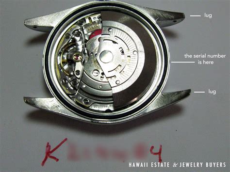 rolex submariner model number location|Rolex serial number by year.